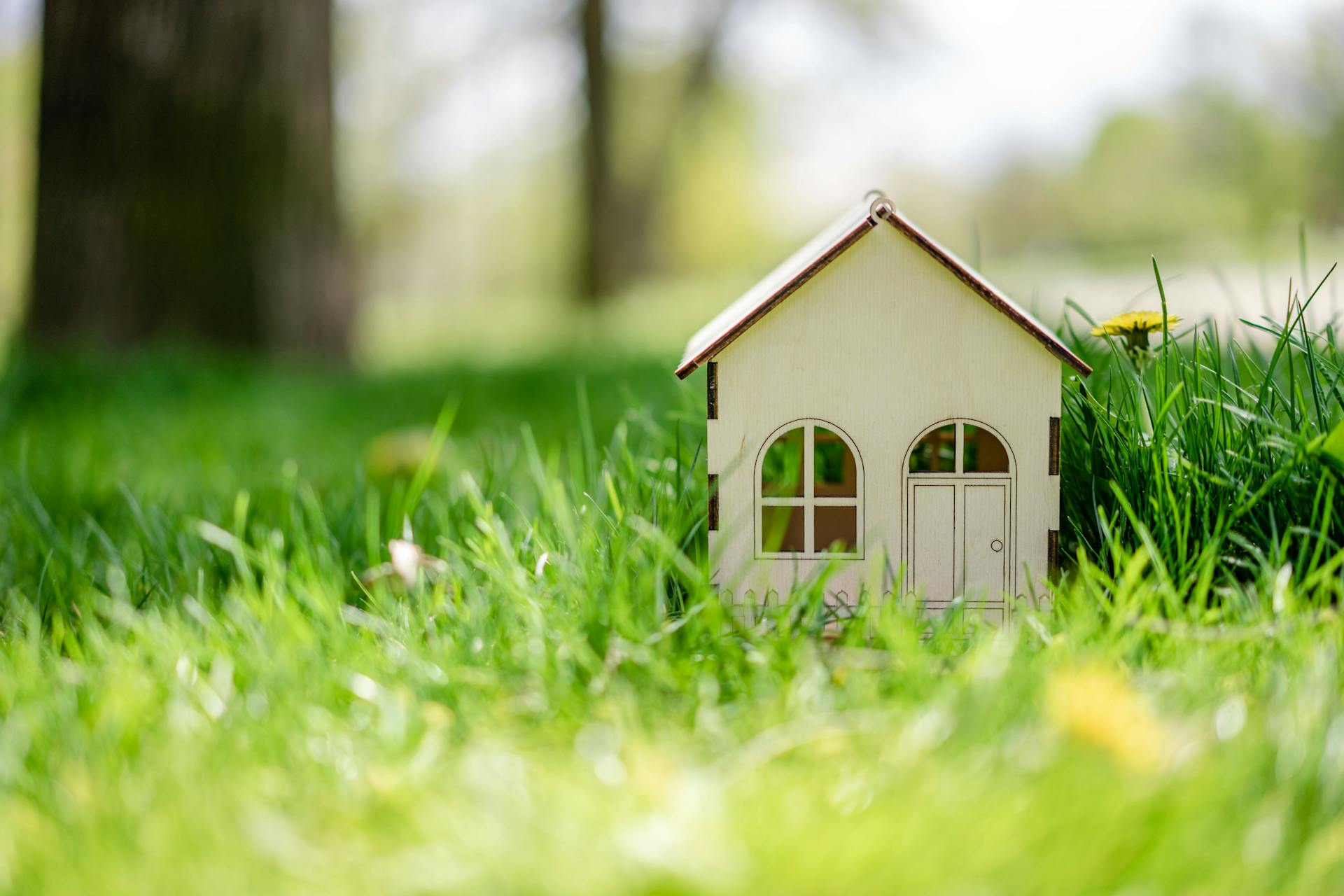 Law of Real Estate